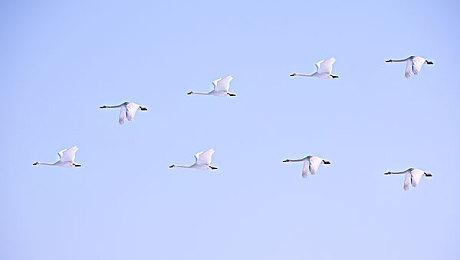 经典HD2DRPG《歧路旅人》将登陆PS主机平台